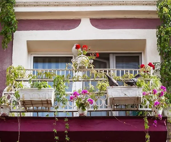 بيت ضيافة Art